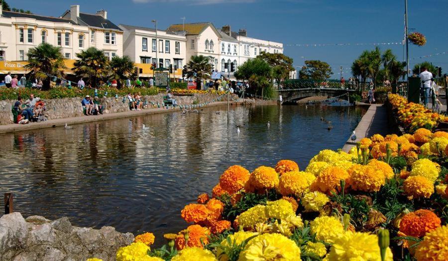 Dawlish Lawn View公寓 外观 照片